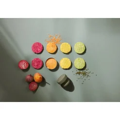 Patty-Presse 9 cm Green tool grün<Eva Solo Best