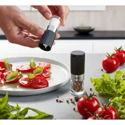 Gefu Messer & Co. Entdecken|Kräuter & Gewürze|Salz und Pfeffermühle 2er Set inkl. Menage Tusome