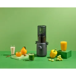 Entsafter H310A 39 cm 100 W anthrazit<Hurom Hot