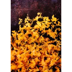 Reibe fein 31 cm Gourmet schwarz<Microplane