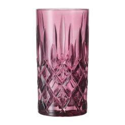 Longdrinkglas 2er-Set Noblesse Berry<Nachtmann Sale