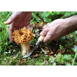 Pilzmesser N°08 8 cm Buche<Opinel Best