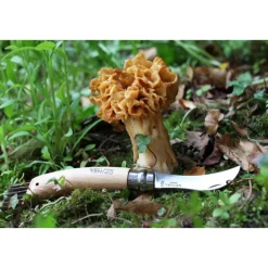 Pilzmesser N°08 8 cm Buche<Opinel Best