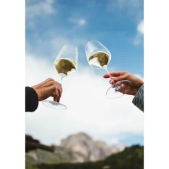 Weißwein-/Spritzglas 2er-Set Grape klar<Riedel Sale