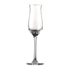 Grappa Glas DiVino glatt<Rosenthal Clearance