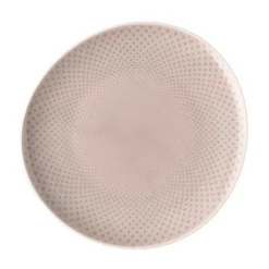 Rosenthal Speiseteller|Teller flach 22 cm Junto Soft Shell