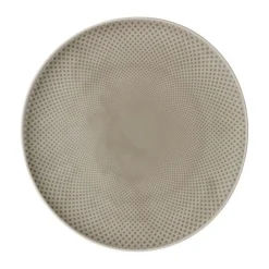 Rosenthal Speiseteller|Teller flach 32 cm Junto Pearl Grey