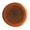 Teller flach 25 cm Junto Amber<Rosenthal Best