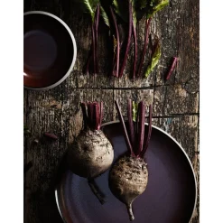 Rosenthal Frühstücksteller|Teller flach 22 cm Junto Bronze