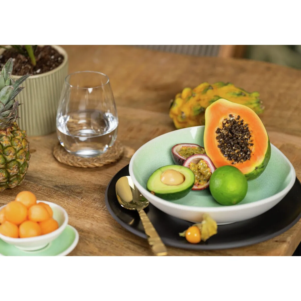 Rosenthal Suppenteller|Teller tief 28 cm Junto Jungle