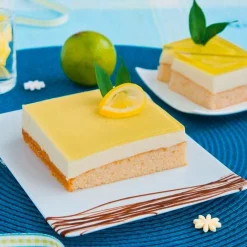 Backrand verstellbar Edelstahl 25-50 x 22-41 cm H. 7 cm<Städter Discount