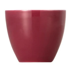 Eierbecher Sunny Day Fuchsia<Thomas