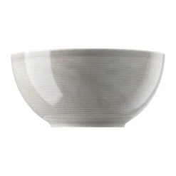Thomas Schüsseln|Schüssel 23 cm Loft Colour Moon Grey
