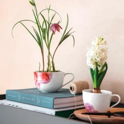 Villeroy & Boch Kaffeetassen|Frühstücks Obere 0,45 l Rose Garden