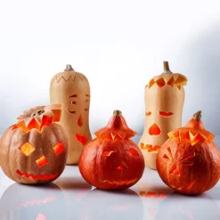 Westmark Messer & Co. Entdecken|Kochwelt Entdecken|Kürbis-Schnitz-Set 4-tlg. schwarz