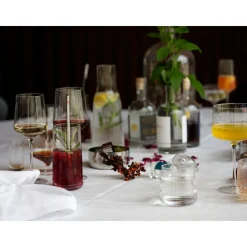 Zone Denmark Gläser Set|Copa/Gin Tonic Glas 2er-Set Rocks klar