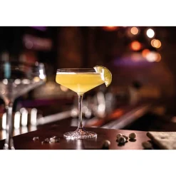 Cocktailschale 4er-Set Echo<Zwiesel Glas Hot