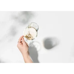 Zwiesel Glas Weißweingläser|Weißweinglas 2er-Set Duo mit Moussierpunkt klar