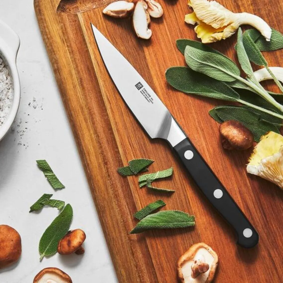 Zwilling Messer & Co. Entdecken|Spick- und Garniermesser 10 cm Pro